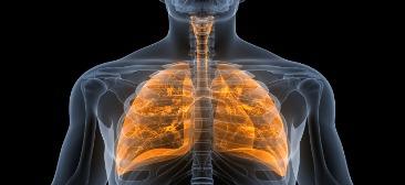 Online live CEUs for respiratory therapists:The Amazing Lungs Part 1