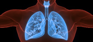Online live CEUs for respiratory therapists:The Amazing Lungs Part 2